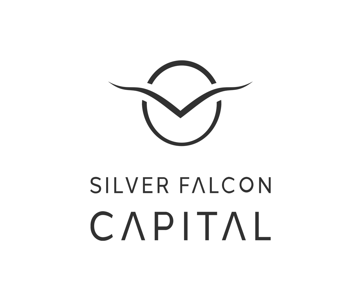 Silver Falcon Capital Partners for More Than Just Capital